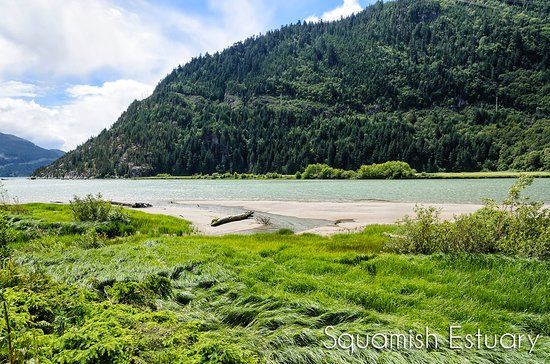 Squamish Estuary